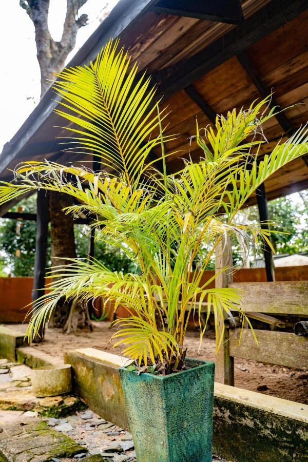 Nature'S Cradle Obosomase Екстериор снимка
